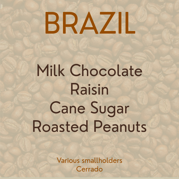 Brazil Salmo Plus Natural / Cerrado