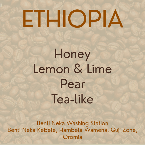 Ethiopia / Benti Neka Washing Station / 2025 Import