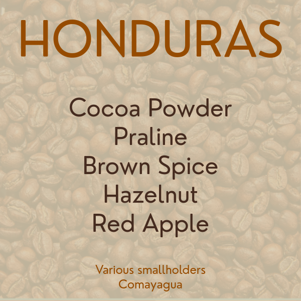 Honduras Reserva / Comayagua / Organic