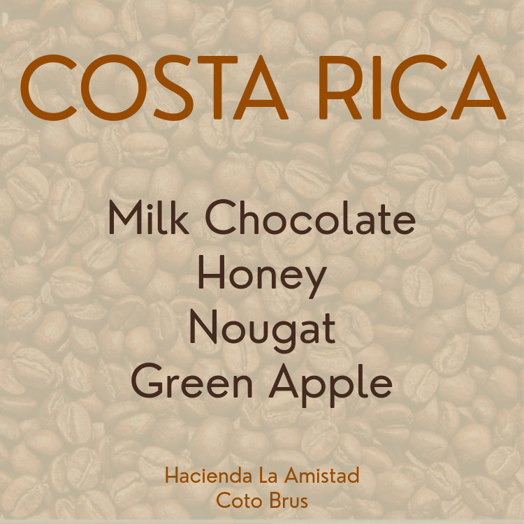 Costa Rica / Hacienda La Amistad / Organic