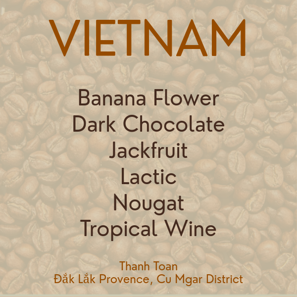 Vietnam / Thanh Toan / 2025 Import