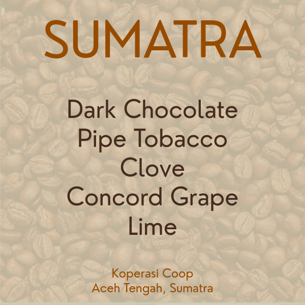 Sumatra / Koperasi Coop / 2025 Import