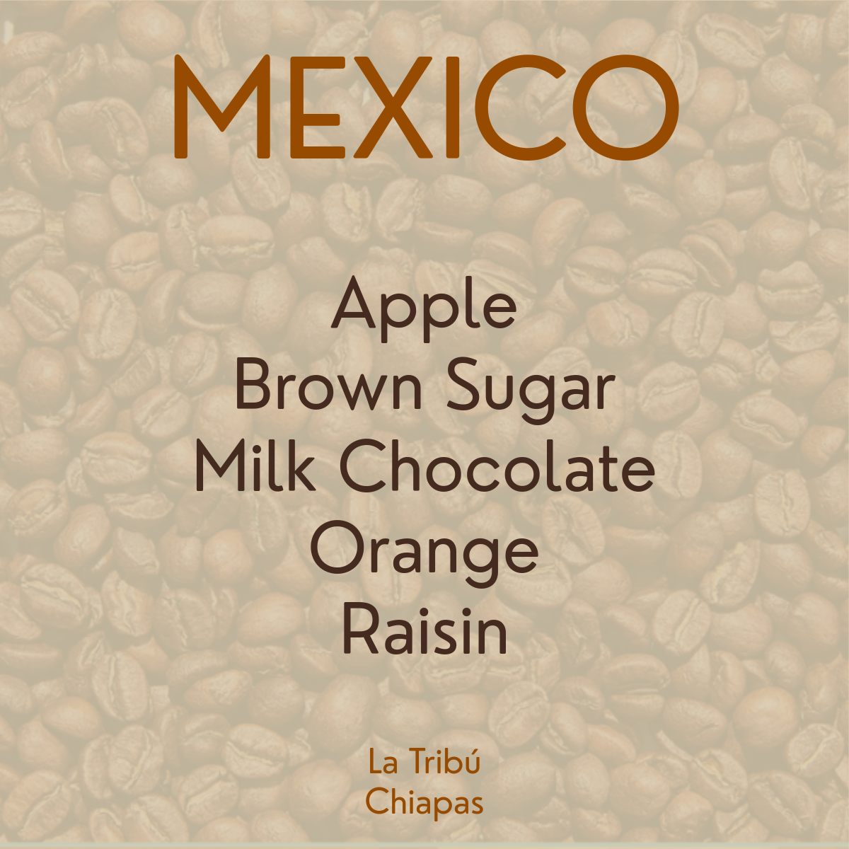 Mexico / La Tribú / 2025 Import