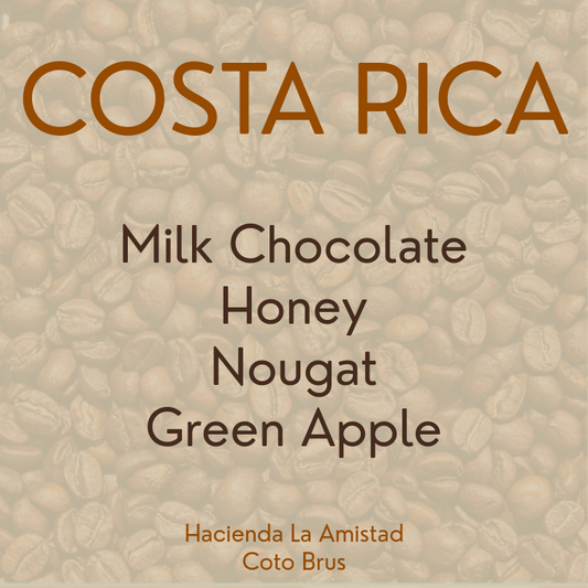 Costa Rica / Hacienda La Amistad / Organic