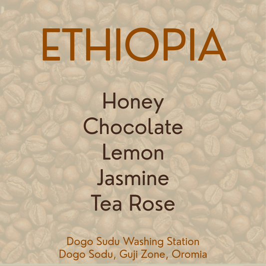 Ethiopia /  Dogo Sudu Washing Station